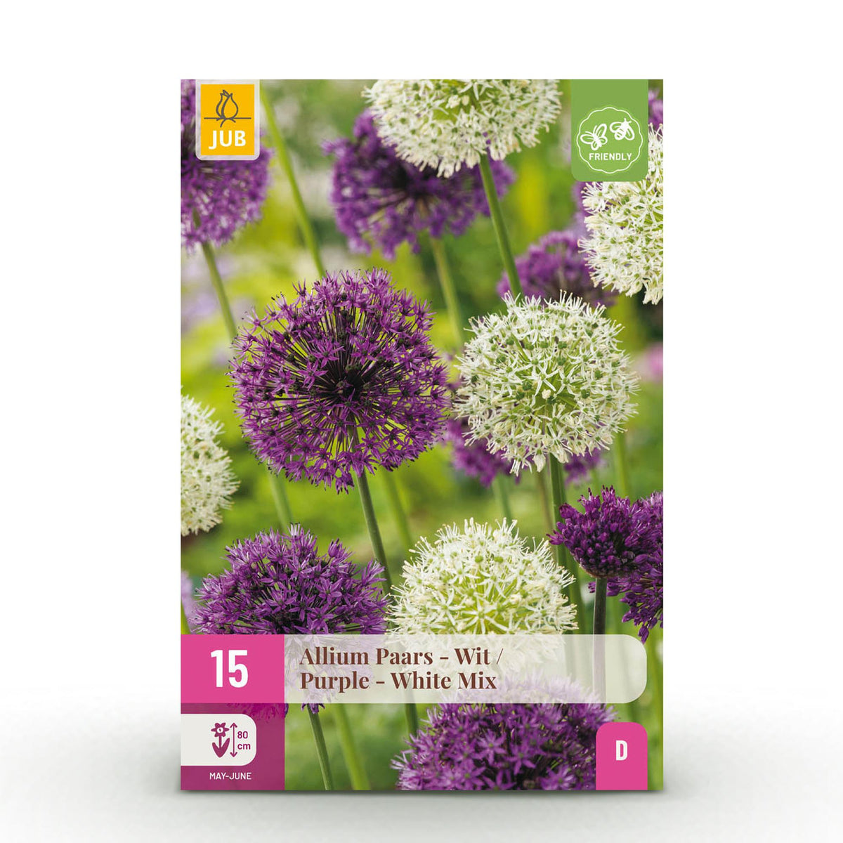 Ail d'ornement en mélange violet et blanc - calibre 10/12