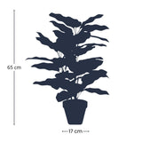 Calathea Makoyana en Pot plante artificielle
