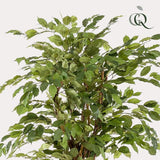 Ficus Liana plante artificielle