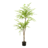 Sophora Arbuste plante artificielle