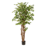 Ficus Liana plante artificielle