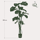 Monstera plante artificielle