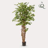 Ficus Liana plante artificielle