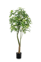 Pachira Aquatica plante artificielle