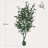 Eucalyptus - Gombo Bleu plante artificielle