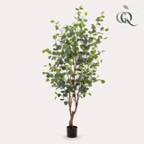 Eucalyptus - Gombo Bleu plante artificielle